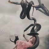 Татьяна Колесник