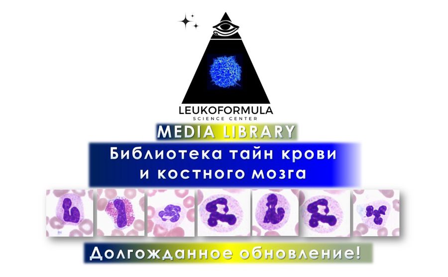 Библиотека «Тайны крови и костного мозга»