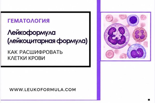 Лейкоформула (лейкоцитарная формула)