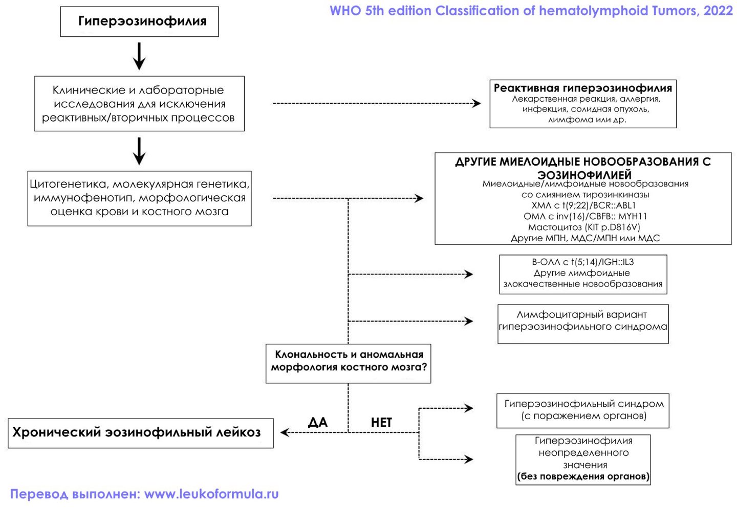Diagnostic algorithm for a raised eosinophil count