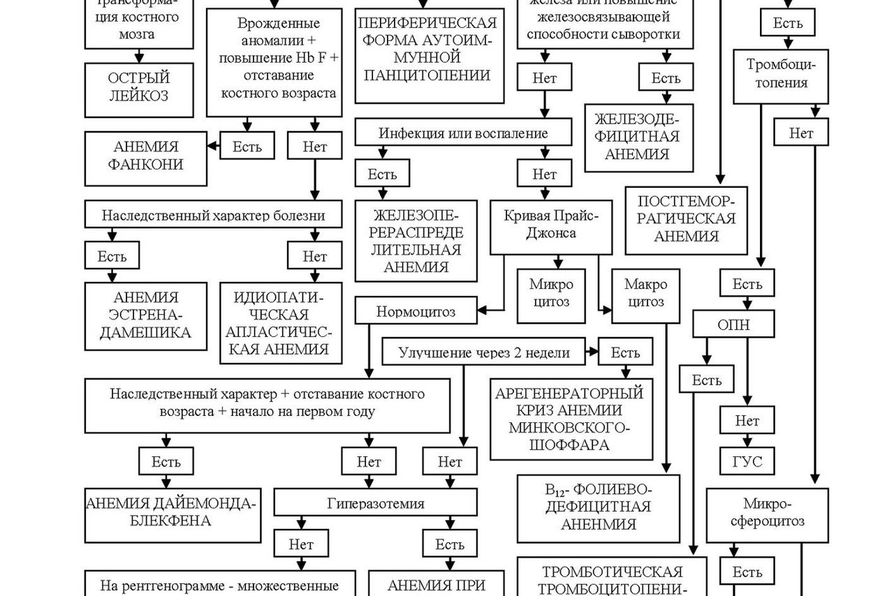 Algorithm for Differential Diagnosis of Anemia in Children