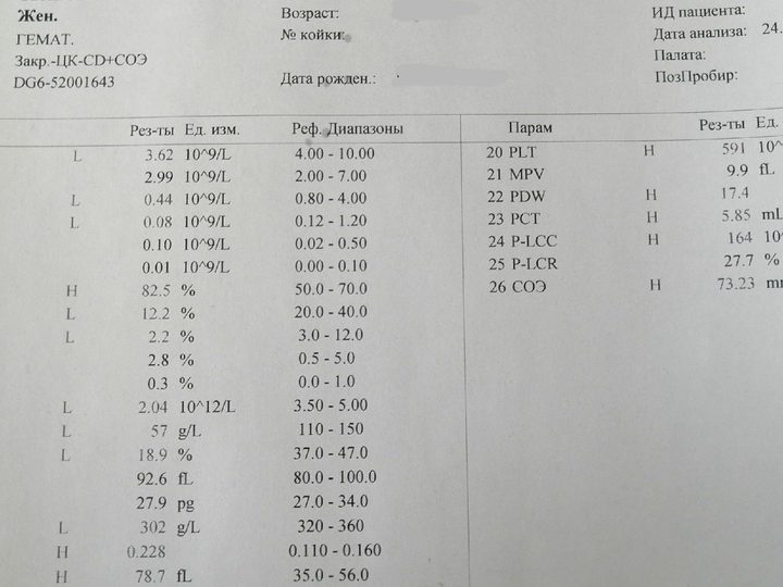 Распечатка анализатора: HGB 57 г/л, RBC 2,04×10¹²/л, PLT 591×10⁹/л