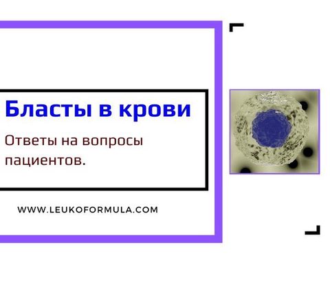 Бласты в анализе крови. Часто задаваемые вопросы
