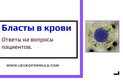Бласты в анализе крови. Часто задаваемые вопросы