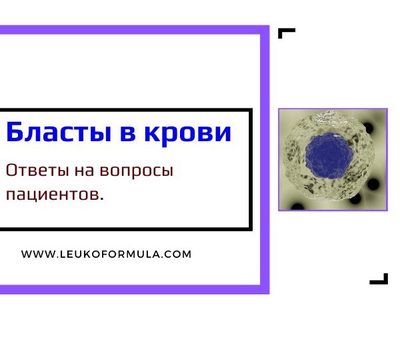 Бласты в анализе крови. Часто задаваемые вопросы