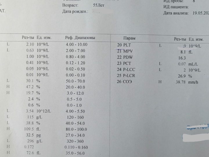 Бланк анализатора: выраженная панцитопения, лейкоциты 2,1×10⁹/л, тромбоциты 9×10⁹/л
