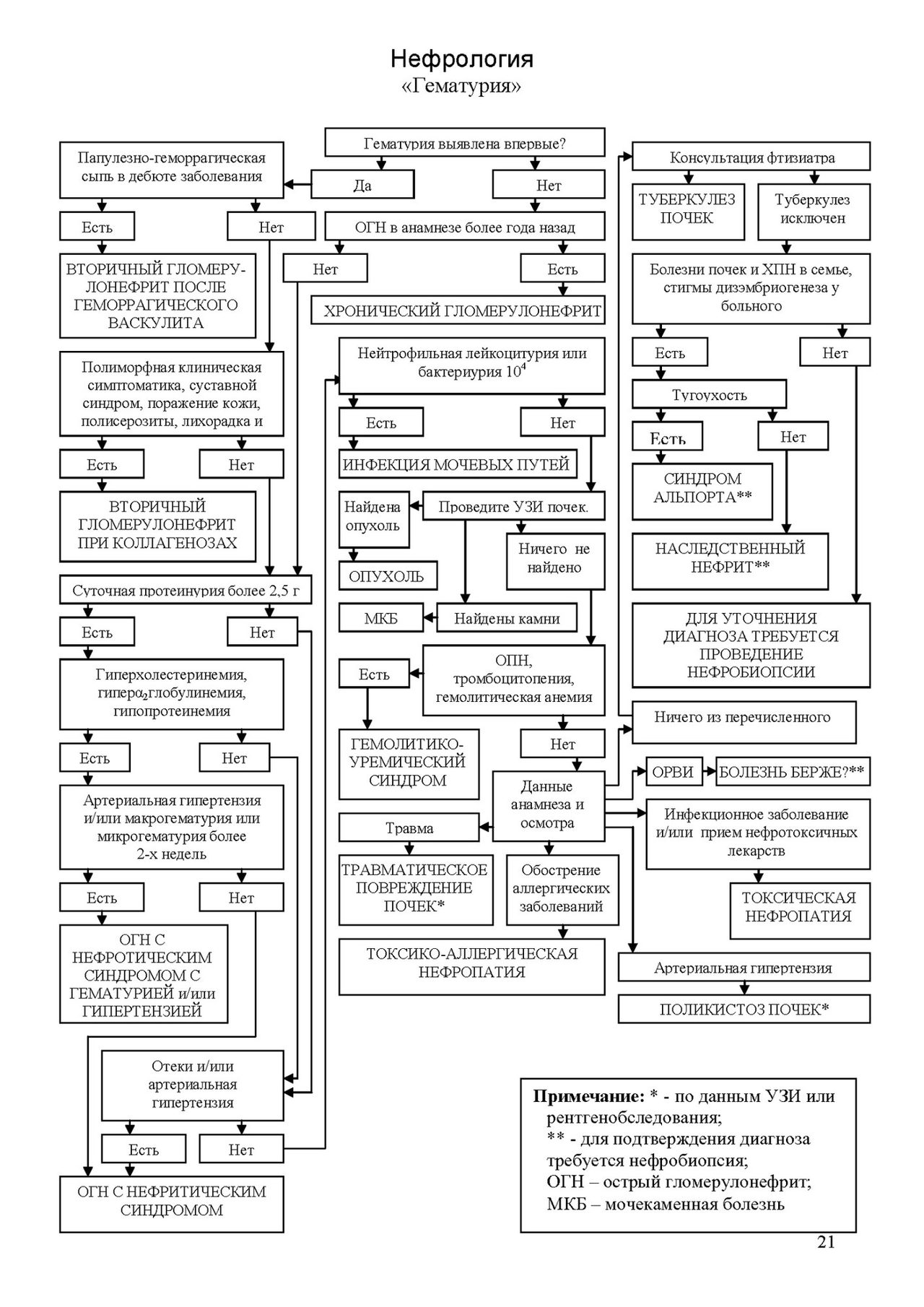 Дифференциальная диагностика гематурии: алгоритм