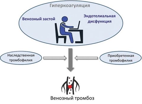 Влияние на риск развития тромбоза приобретенных или унаследованных протромботических состояний у людей, проводящих продолжительное время у компьютера.