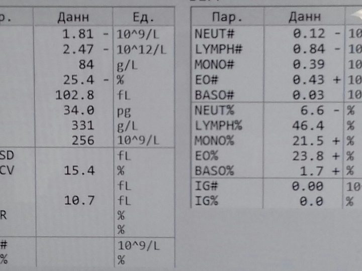 Экран анализатора после прогрева до 37 °C: нормализация MCHC (331 г/л) и RBC