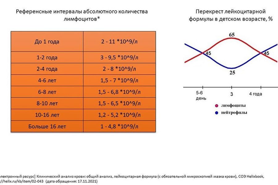 Top 5 causes of increased lymphocytes in the blood