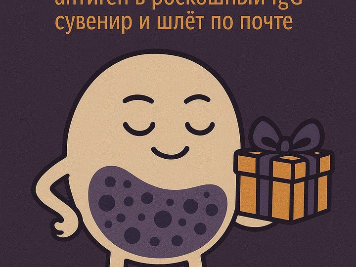 Иллюстрация: плазмоцит, продуцирующий иммуноглобулины