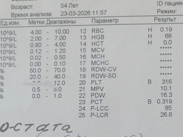 Распечатка анализатора до термостата: ложное падение RBC до 0,19×10¹²/л