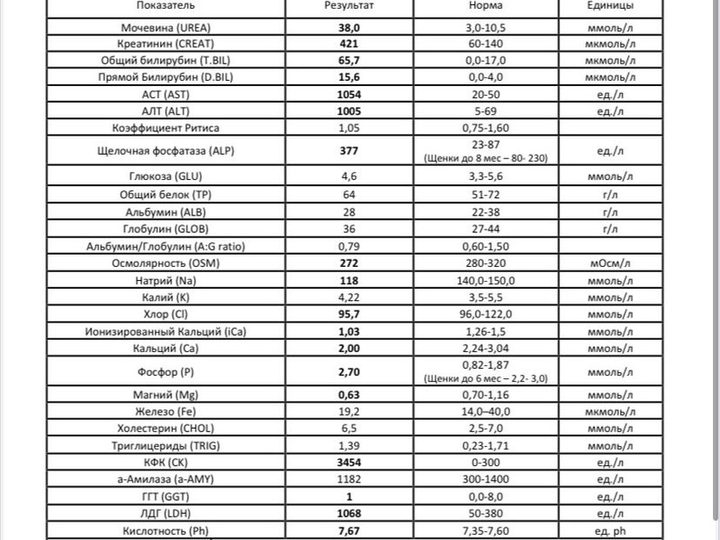 Бланк биохимического анализа: повышение АСТ, АЛТ, мочевины и креатинина