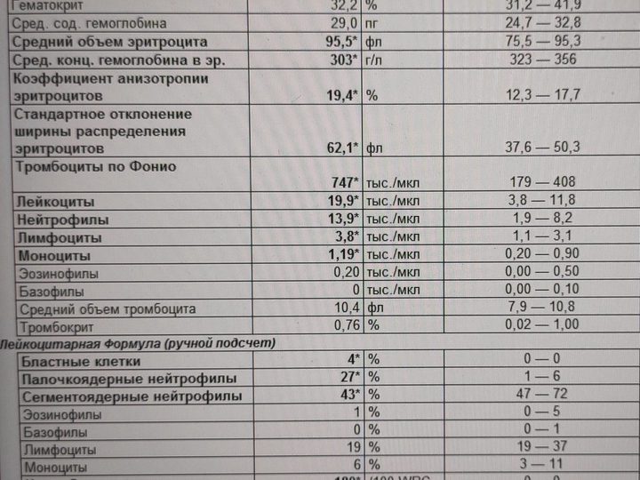 Бланк общего анализа крови: лейкоцитоз 19,9×10⁹/л, 180 нормобластов на 100 лейкоцитов