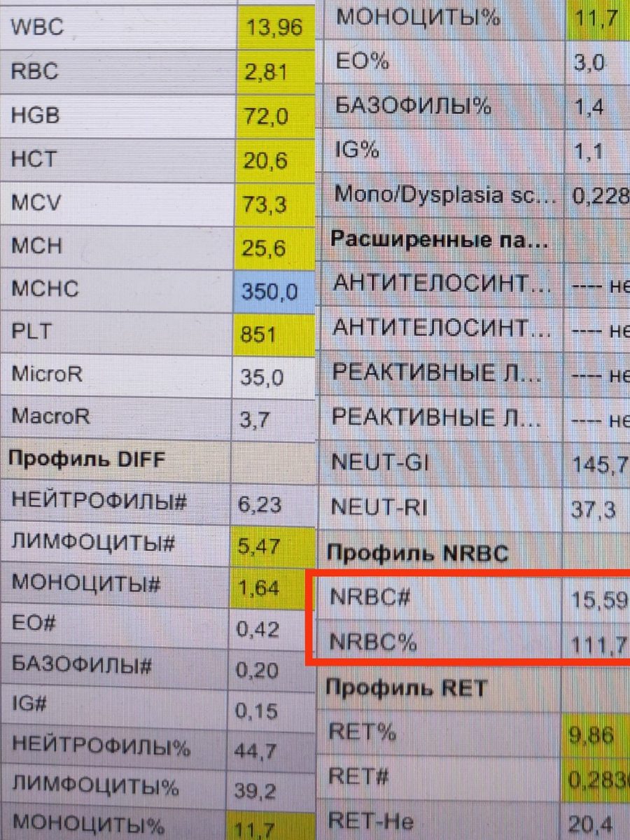 Нормобластоз в общем анализе крови: подсчет и морфология