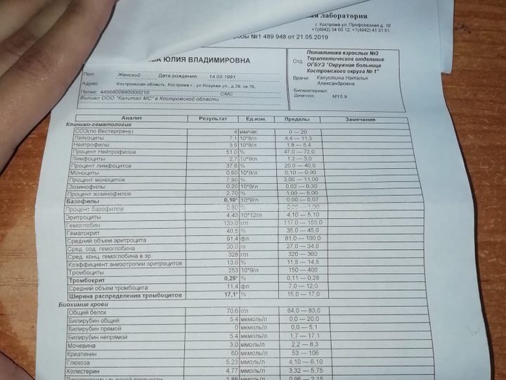 Complete blood count and biochemical profile form with a moderate GGT shift