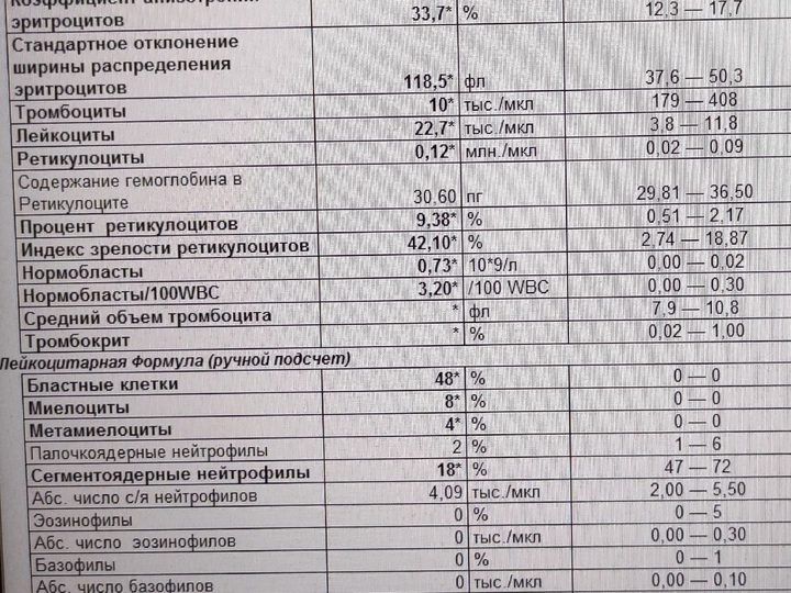Бланк анализатора: лейкоцитоз 22,7×10⁹/л, тромбоциты 10×10⁹/л и 48% бластов