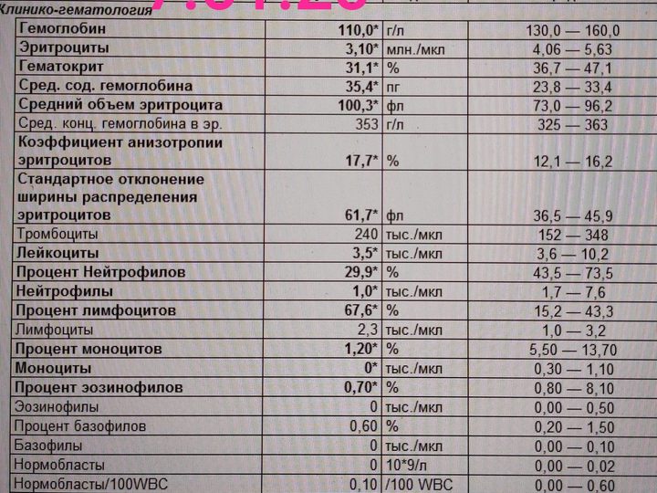 Бланк общего анализа крови от 17.01.20: лейкопения 3,5 тыс./мкл и нормоцитарная анемия