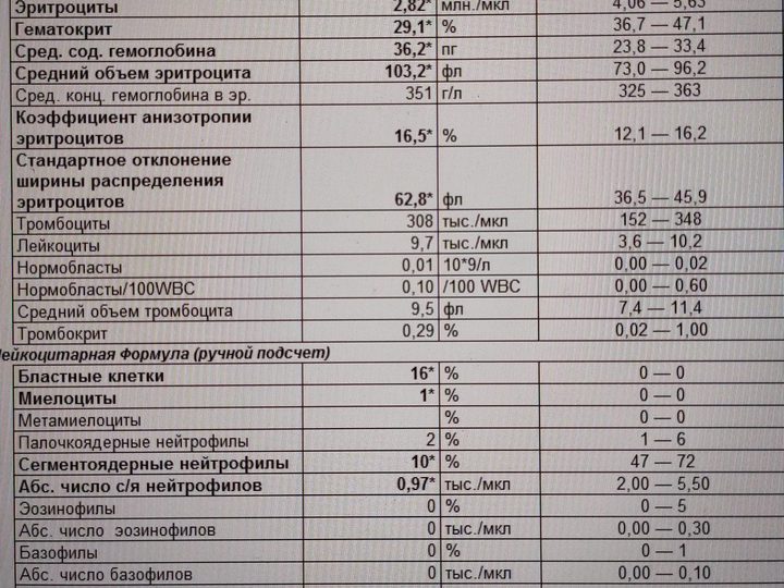 Бланк анализа крови от 06.02.20: рост лейкоцитов до 9,7 тыс./мкл и бласты 16%