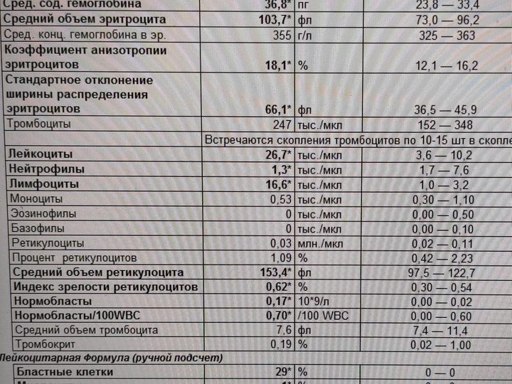 Бланк анализа крови от 10.02.20: лейкоцитоз 26,7 тыс./мкл и нарастание бластов до 29%