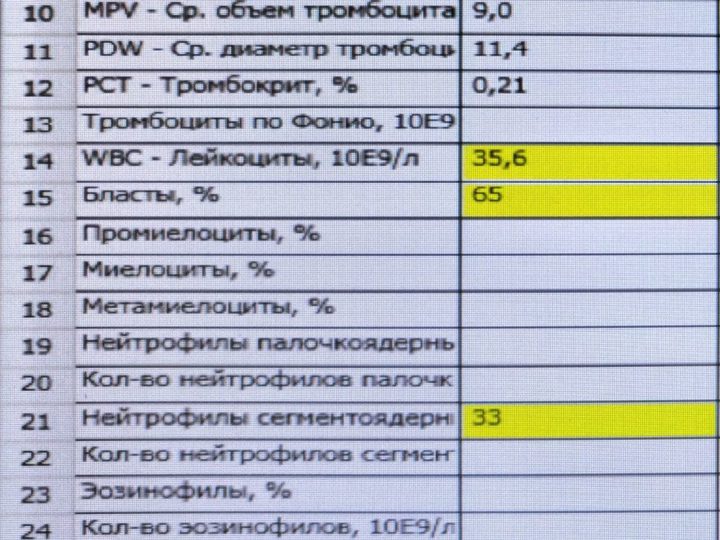 Complete blood count form, leukocytosis 35.6×10⁹/L and 65% blasts