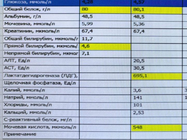 Blood biochemistry analysis form, increased LDH to 695.1 U/L and uric acid