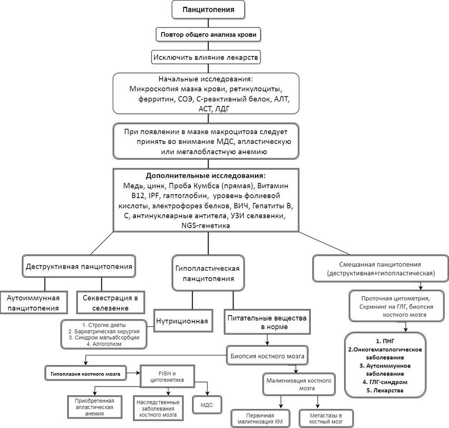 Панцитопения: что это, причины и алгоритм диагностики