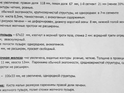 Протокол УЗИ органов брюшной полости: поджелудочная железа без изменений