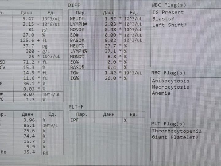 Analyzer screen: HGB 81 g/L, MCV 125.6 fL, PLT 25×10³/µL, Blasts? flag