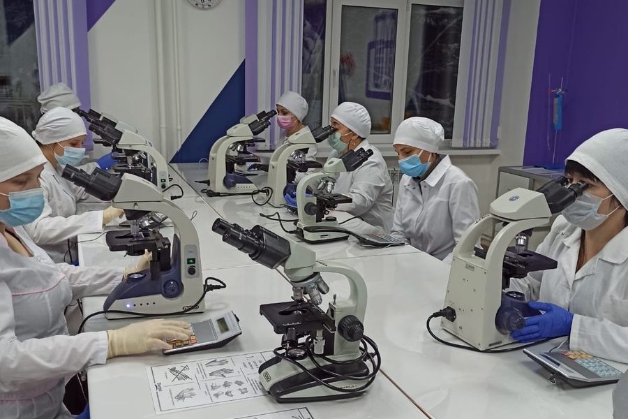Работа врача клинической лабораторной диагностики