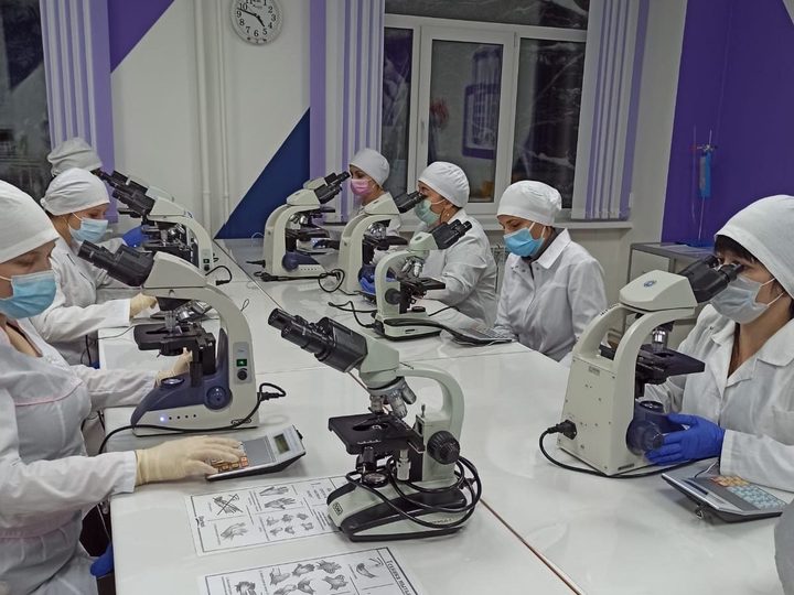 Фото лаборатории: специалисты за микроскопами и подсчетом лейкоцитарной формулы