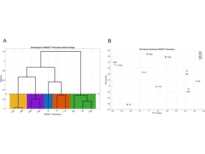 Graphs of MIZAR parameter clustering: dendrogram and principal component analysis