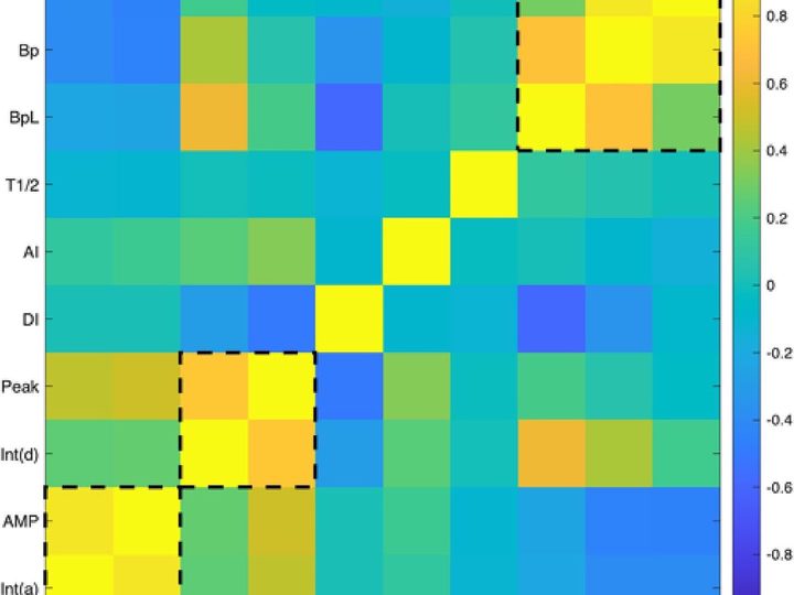 Heatmap of the red blood cell rheological parameter correlation matrix