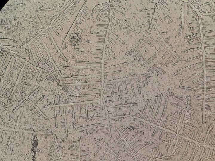 Microscopy of a dry smear, treelike salt crystals in case of amniotic fluid leakage
