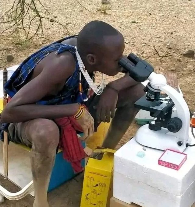 Light Microscopy of Blood Smears in Field Conditions