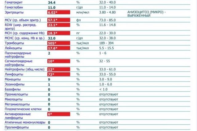 Thalassemia vs. Iron Deficiency Anemia: Differential Diagnosis