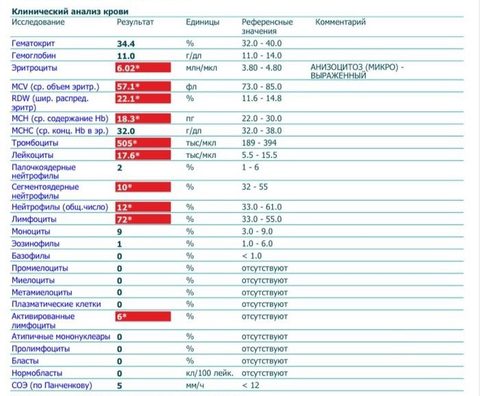 Complete blood count form with marked microcytosis and high RDW