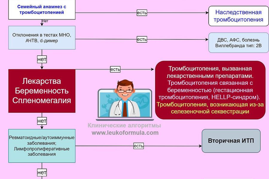 Иммунная тромбоцитопения (ИТП). Алгоритм диагностики