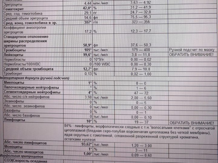 Бланк анализа крови с выраженным лейкоцитозом и ручным подсчетом формулы