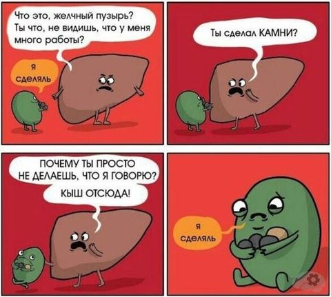 Иллюстрация: комикс об образовании камней в желчном пузыре
